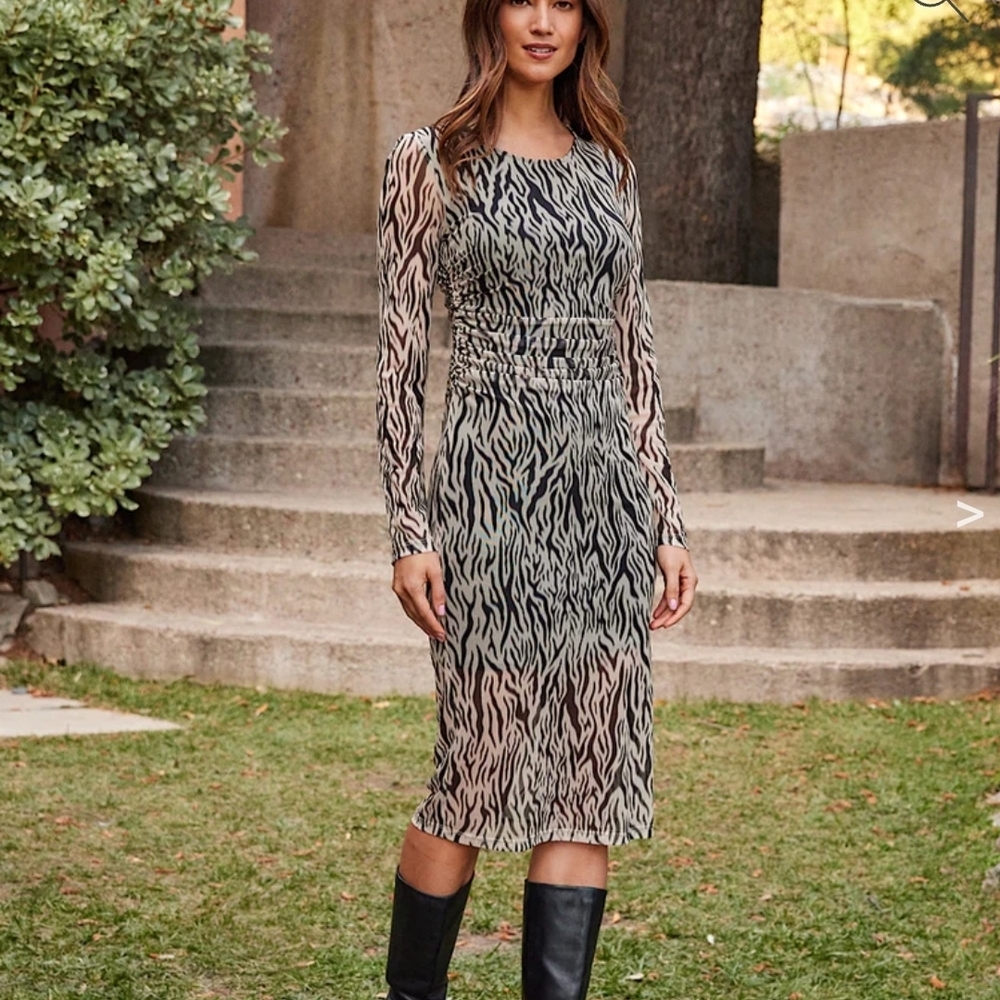 Karen Kane Black and Beige Long Sleeve Sheer Midi Dress